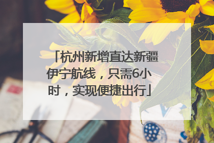 杭州新增直达新疆伊宁航线，只需6小时，实现便捷出行