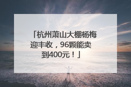 杭州萧山大棚杨梅迎丰收，96颗能卖到400元！