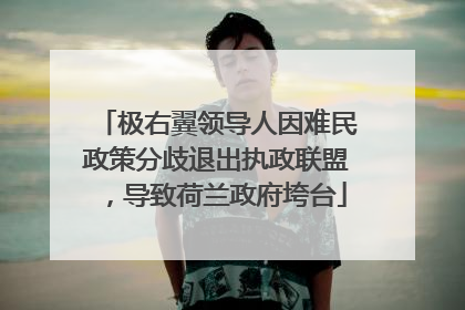 极右翼领导人因难民政策分歧退出执政联盟，导致荷兰政府垮台