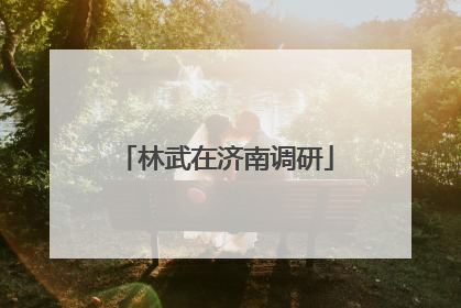 林武在济南调研