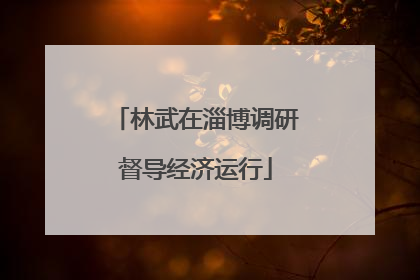 林武在淄博调研督导经济运行