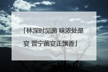 林深时见菌 味浓处是宴 晋宁菌宴正飘香