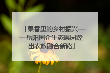 果香里的乡村振兴——岳阳国企生态果园蹚出农旅融合新路