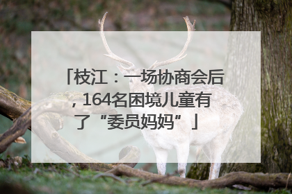 枝江：一场协商会后，164名困境儿童有了“委员妈妈”