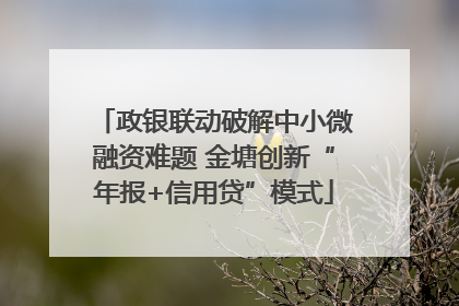 政银联动破解中小微融资难题 金塘创新“年报+信用贷”模式