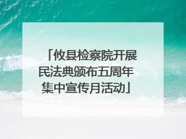 攸县检察院开展民法典颁布五周年集中宣传月活动
