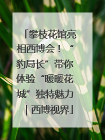 攀枝花馆亮相西博会！“豹局长”带你体验“暖暖花城”独特魅力｜西博视界