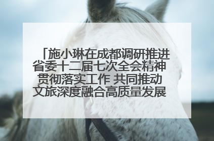 施小琳在成都调研推进省委十二届七次全会精神贯彻落实工作 共同推动文旅深度融合高质量发展 加快打造支柱产业民生产业幸福产业