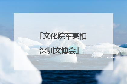 文化皖军亮相深圳文博会