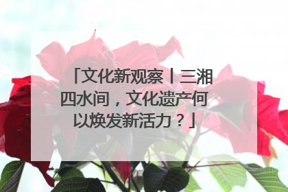 文化新观察丨三湘四水间，文化遗产何以焕发新活力？
