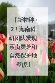 新物种+2！海南科研团队发现素贞灵芝和自然保护地壁虎