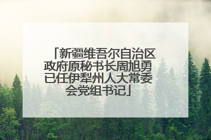 新疆维吾尔自治区政府原秘书长周旭勇已任伊犁州人大常委会党组书记