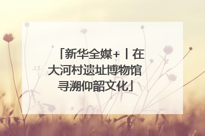 新华全媒+丨在大河村遗址博物馆寻溯仰韶文化