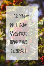 新华时评丨以团结合作共促南海稳定繁荣