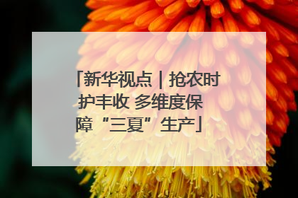 新华视点｜抢农时 护丰收 多维度保障“三夏”生产