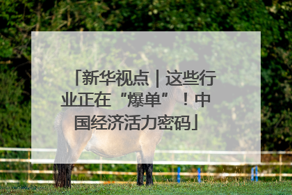 新华视点｜这些行业正在“爆单”！中国经济活力密码