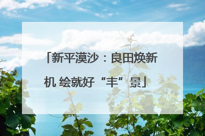 新平漠沙：良田焕新机 绘就好“丰”景