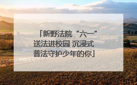 新野法院“六一”送法进校园 沉浸式普法守护少年的你
