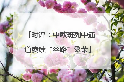 时评：中欧班列中通道赓续“丝路”繁荣