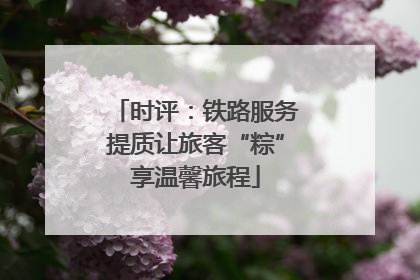 时评：铁路服务提质让旅客“粽”享温馨旅程