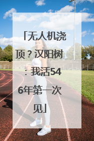 无人机浇顶？汉阳树：我活546年第一次见