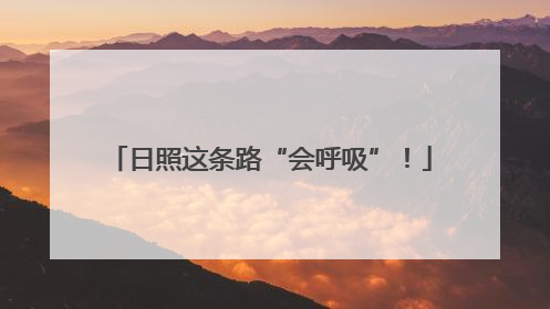 日照这条路“会呼吸”！