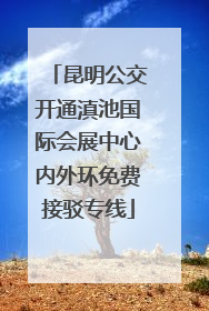 昆明公交开通滇池国际会展中心内外环免费接驳专线