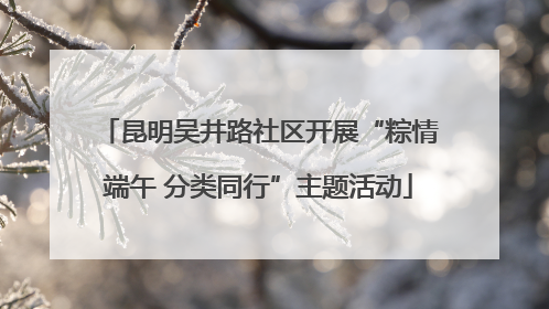 昆明吴井路社区开展“粽情端午 分类同行”主题活动
