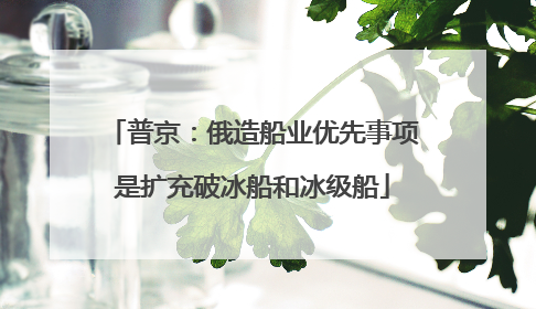 普京：俄造船业优先事项是扩充破冰船和冰级船