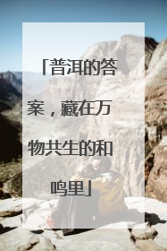 普洱的答案，藏在万物共生的和鸣里