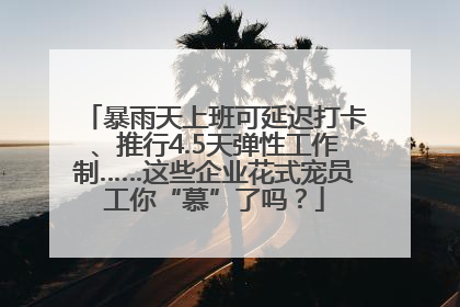 暴雨天上班可延迟打卡、推行4.5天弹性工作制……这些企业花式宠员工你“慕”了吗？