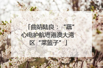 曲靖陆良：“蔬”心电护航粤港澳大湾区“菜篮子”