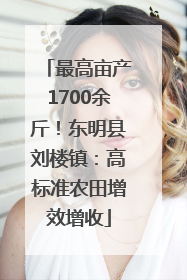 最高亩产1700余斤！东明县刘楼镇：高标准农田增效增收