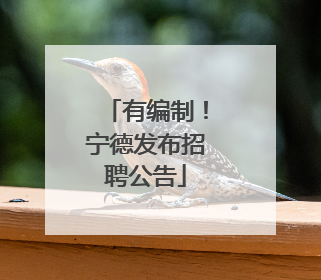 有编制！宁德发布招聘公告