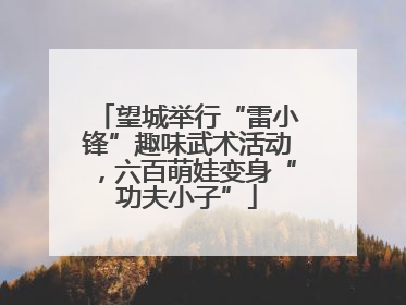 望城举行“雷小锋”趣味武术活动，六百萌娃变身“功夫小子”