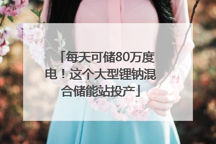 每天可储80万度电！这个大型锂钠混合储能站投产