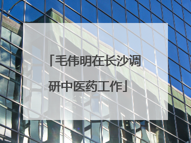 毛伟明在长沙调研中医药工作