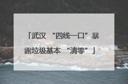 武汉 “四线一口”暴露垃圾基本 “清零”