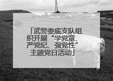 武警娄底支队组织开展“学党章、严党纪、强党性”主题党日活动