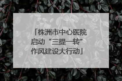 株洲市中心医院启动“三提一转”作风建设大行动
