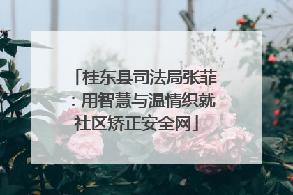 桂东县司法局张菲：用智慧与温情织就社区矫正安全网