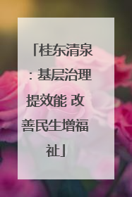 桂东清泉：基层治理提效能 改善民生增福祉