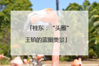桂东：“头雁”王镇的蓝图美景