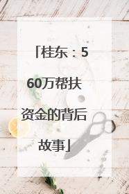 桂东：560万帮扶资金的背后故事
