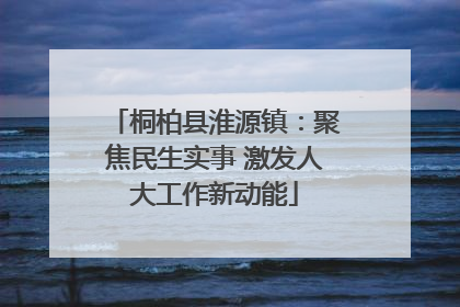 桐柏县淮源镇：聚焦民生实事 激发人大工作新动能