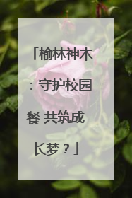 榆林神木：守护校园餐 共筑成长梦？