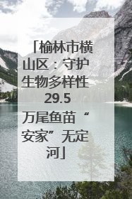 榆林市横山区：守护生物多样性 29.5万尾鱼苗“安家”无定河