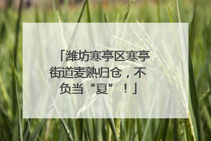 潍坊寒亭区寒亭街道麦熟归仓，不负当“夏”！
