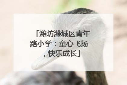 潍坊潍城区青年路小学：童心飞扬，快乐成长