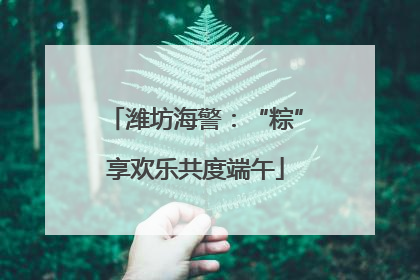 潍坊海警：“粽”享欢乐共度端午